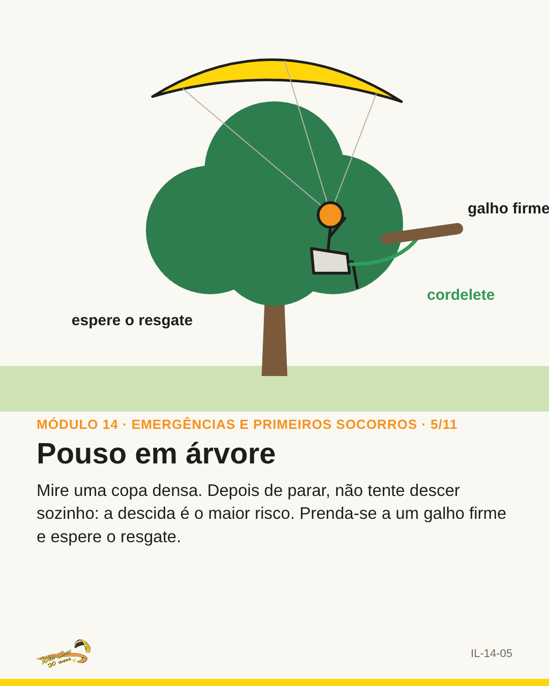 Piloto preso na copa, ancorado com um cordelete