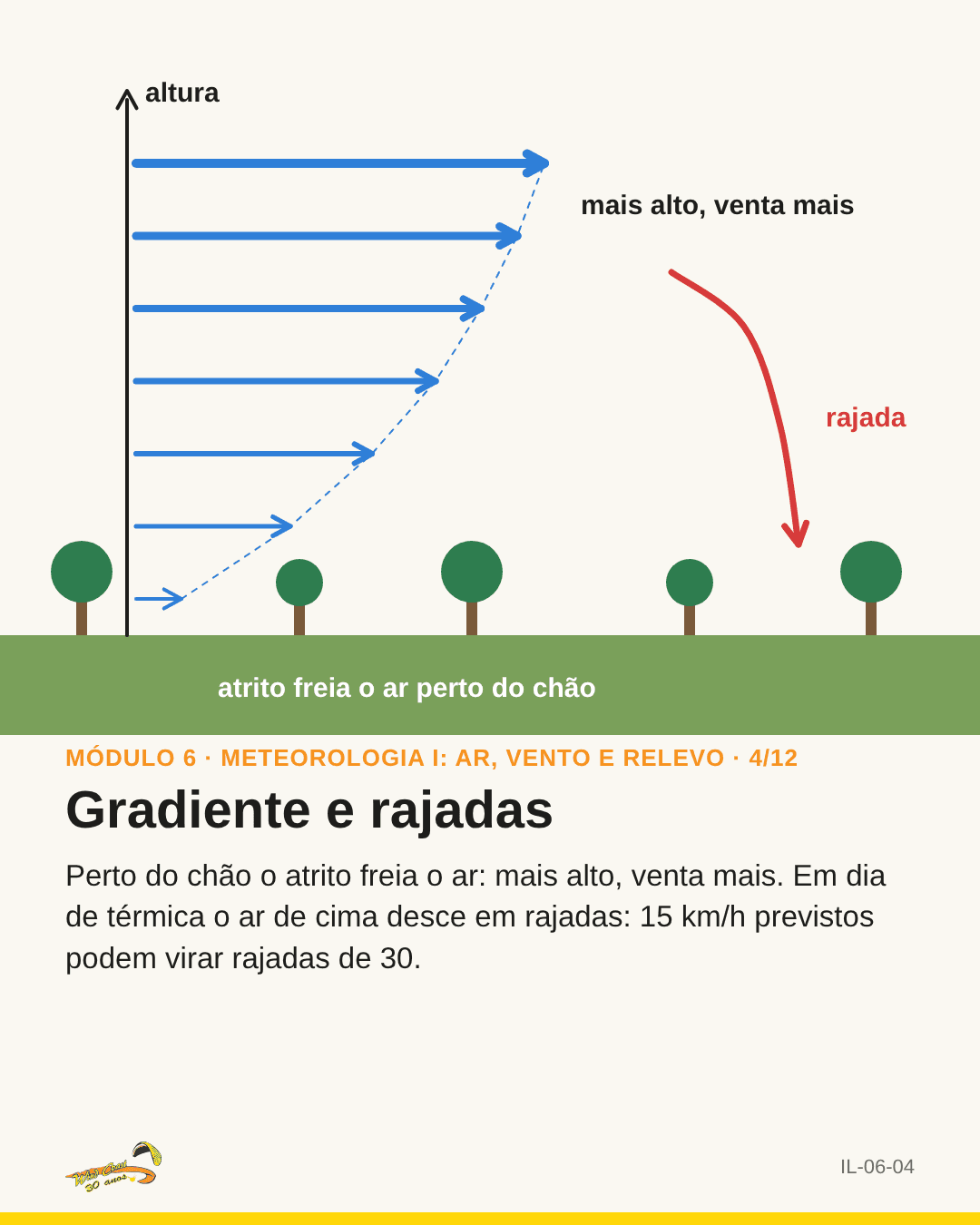 Perfil vertical com setas azuis crescendo com a altura