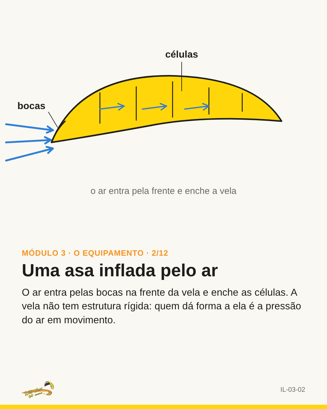 Vela em perfil: setas azuis entrando pelas bocas e células cheias. Rótulos: bocas, células