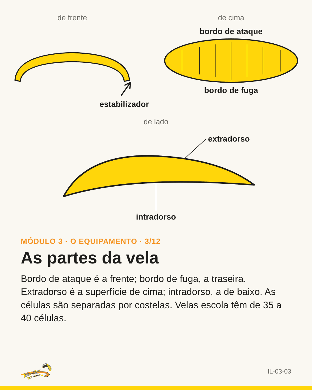 Vela em três vistas. Rótulos: bordo de ataque, bordo de fuga, extradorso, intradorso, estabilizador