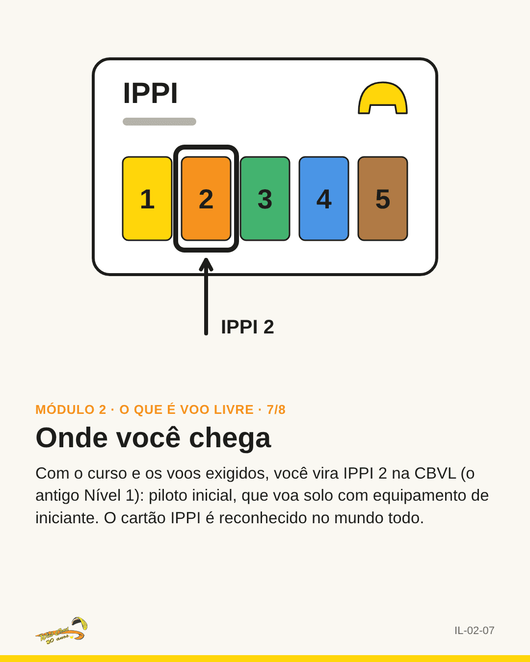Cartão IPPI com as cinco cores de nível